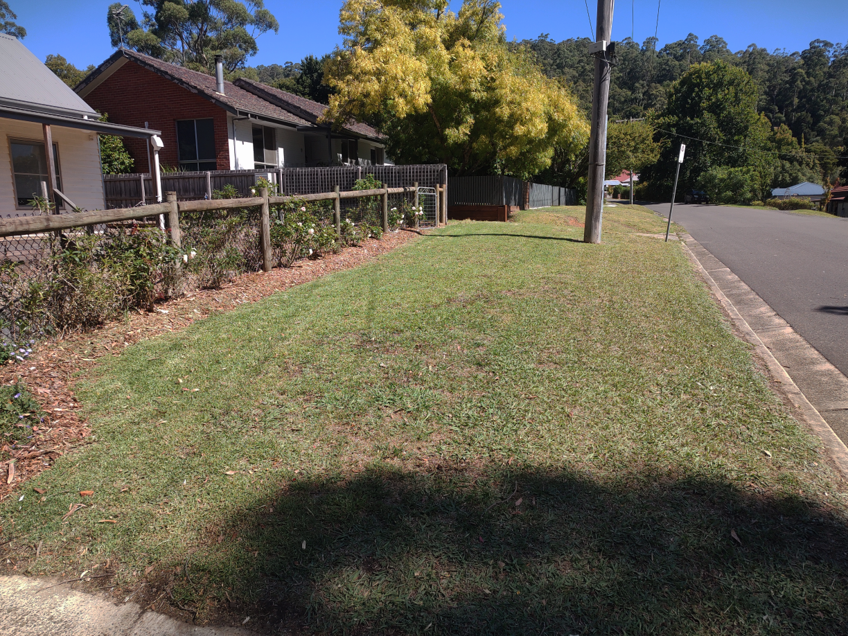 Freshly mowed front lawn