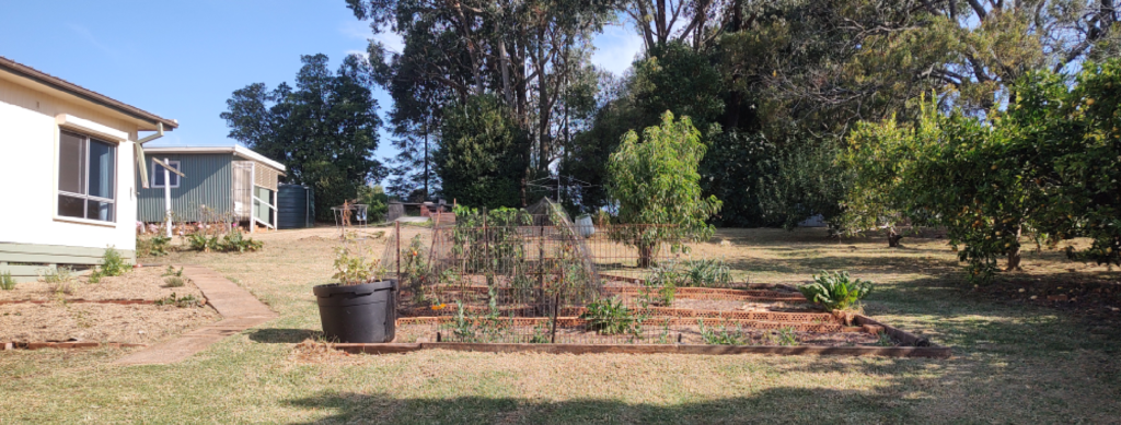 Veggie gardens and mowed lawn