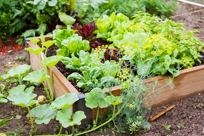 Raised garden bed